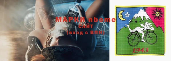 тгк Новозыбков