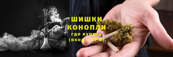 СК Новокубанск