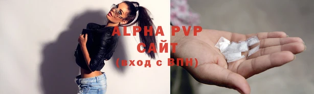МДПВ Новодвинск
