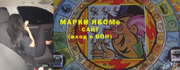 тгк Новозыбков